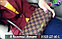Сумка Louis Vuitton Favorite Damier Ebene c Красным подкладом, фото 7