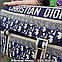 Сумка Christian Dior camp messenger Диор через плечо, фото 4