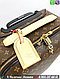 Чемодан Louis Vuitton Horizon 60 коричневый, фото 4