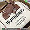 Сумка Burberry Cube белая, фото 4