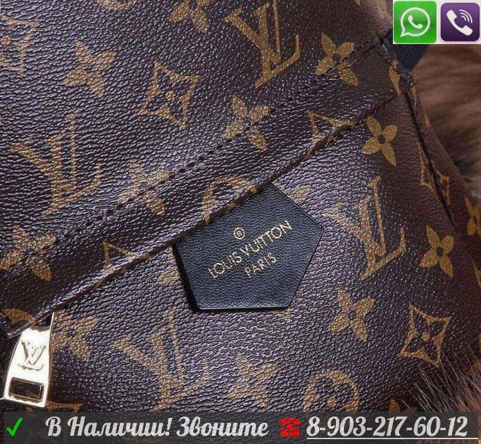 Louis Vuitton Palm Springs Рюкзак Луи Витон PM MM Monogramm - фото 2 - id-p99194934