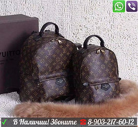 Louis Vuitton Palm Springs Рюкзак Луи Витон PM MM Monogramm