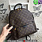 Louis Vuitton Palm Springs Рюкзак Луи Витон PM MM Monogramm, фото 8