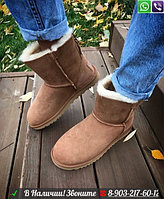 Угги UGG Classic Zip на молнии Бежевый