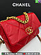 Сумка Chanel Flap 19, фото 6