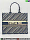 Сумка Christian Dior Book Tote Oblique Диор текстиль с вышивкой, фото 4
