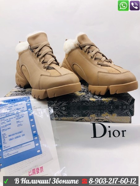 Зимние кроссовки Christian Dior D-Connect коричневые