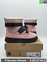 Угги UGG Classic Boom Buckle Розовый