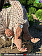 Босоножки Stuart Weitzman кожаные, фото 2