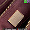 Сумка Louis Vuitton Soufflot BB monogram мини, фото 6