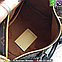 Сумка Louis  Vuitton Speedy с вышивкой, фото 8
