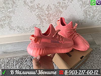 Кроссовки Adidas Yeezy Boost 350 Розовые