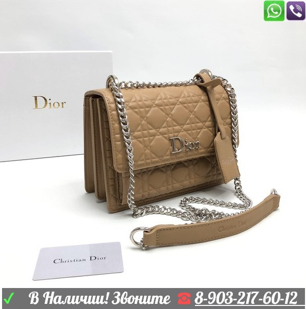 Сумка Christian Dior кожа икра - фото 6 - id-p99203984