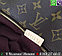 Сумка Louis Vuitton Iena PM Луи Витон Monogram Canvas на молнии, фото 8