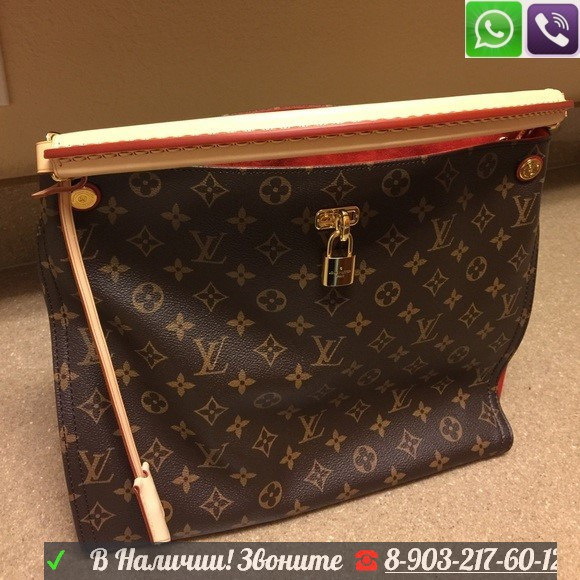 Сумка Louis Vuitton Gaia Луи Витон Monogram Lv - фото 4 - id-p99195529