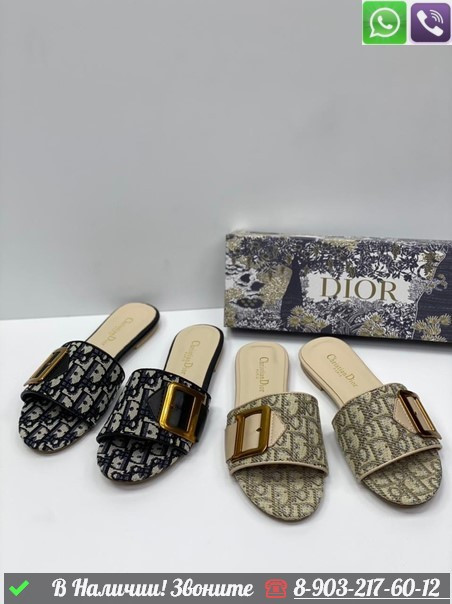 Шлепанцы Dior текстильные - фото 2 - id-p99214720