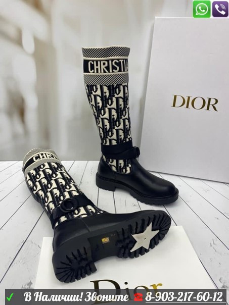 Зимние сапоги Christian Dior D-Major - фото 2 - id-p99210021