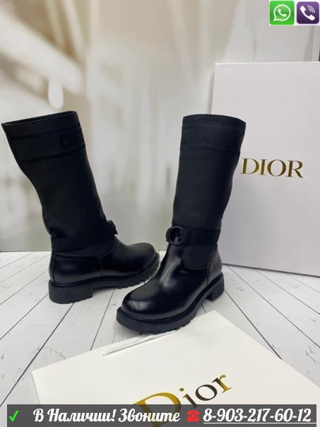 Зимние сапоги Christian Dior D-Major - фото 1 - id-p99210021