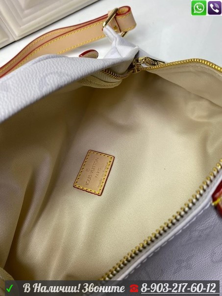 Поясная сумка Louis Vuitton Bumbag - фото 9 - id-p99206210