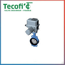 Бернар OA Tecofi. Электрические приводы для дисковых затворов VP3448-02.