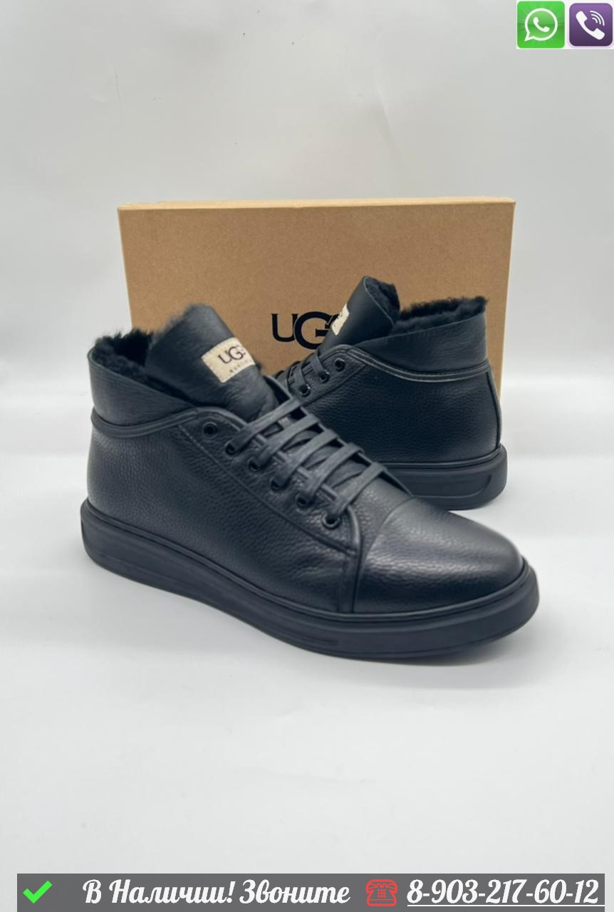 Зимние Ботинки UGG кожаные с мехом черные - фото 2 - id-p99232451