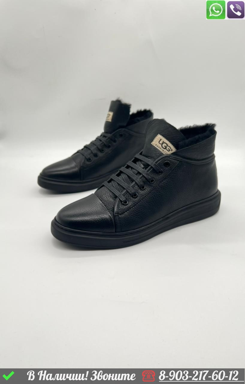 Зимние Ботинки UGG кожаные с мехом черные - фото 3 - id-p99232451