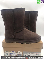 Мужские угги UGG Classic высокие