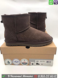 Мужские угги UGG Classic Mini низкие Коричневый