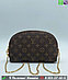 Косметичка Louis Vuitton на цепочке, фото 3