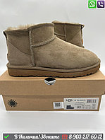 Ерлерге арналған UGG Classic Mini қысқы бежевый угги