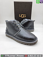 Мужские ботинки UGG Neumel зимние Серый