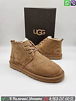 Мужские ботинки UGG Neumel зимние Бежевый