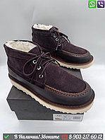 Зимние Ботинки UGG с мехом коричневые