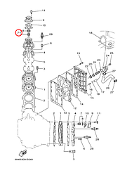 Термостат Yamaha OMAX Y 9,9-250 6E51241130