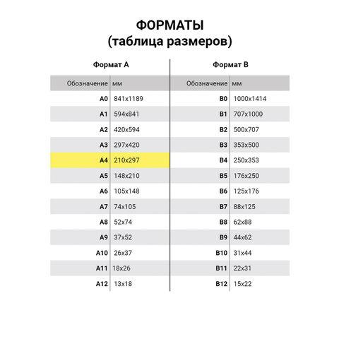 Тетрадь бумвинил, А4, 96 л., скоба, офсет №2 ЭКОНОМ, клетка, STAFF, БОРДОВЫЙ, 403419 - фото 7 - id-p99282177