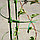 Шпалера раскладная для вьющихся растений пластиковая с 3 кольцами 90 см Грин Бэлт Арт.:06 852, фото 6