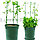 Шпалера раскладная для вьющихся растений пластиковая с 3 кольцами 90 см Грин Бэлт Арт.:06 852, фото 8