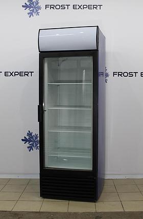 Аренда универсального холодильного шкафа PROFESSIONALE PML600 LED, фото 2