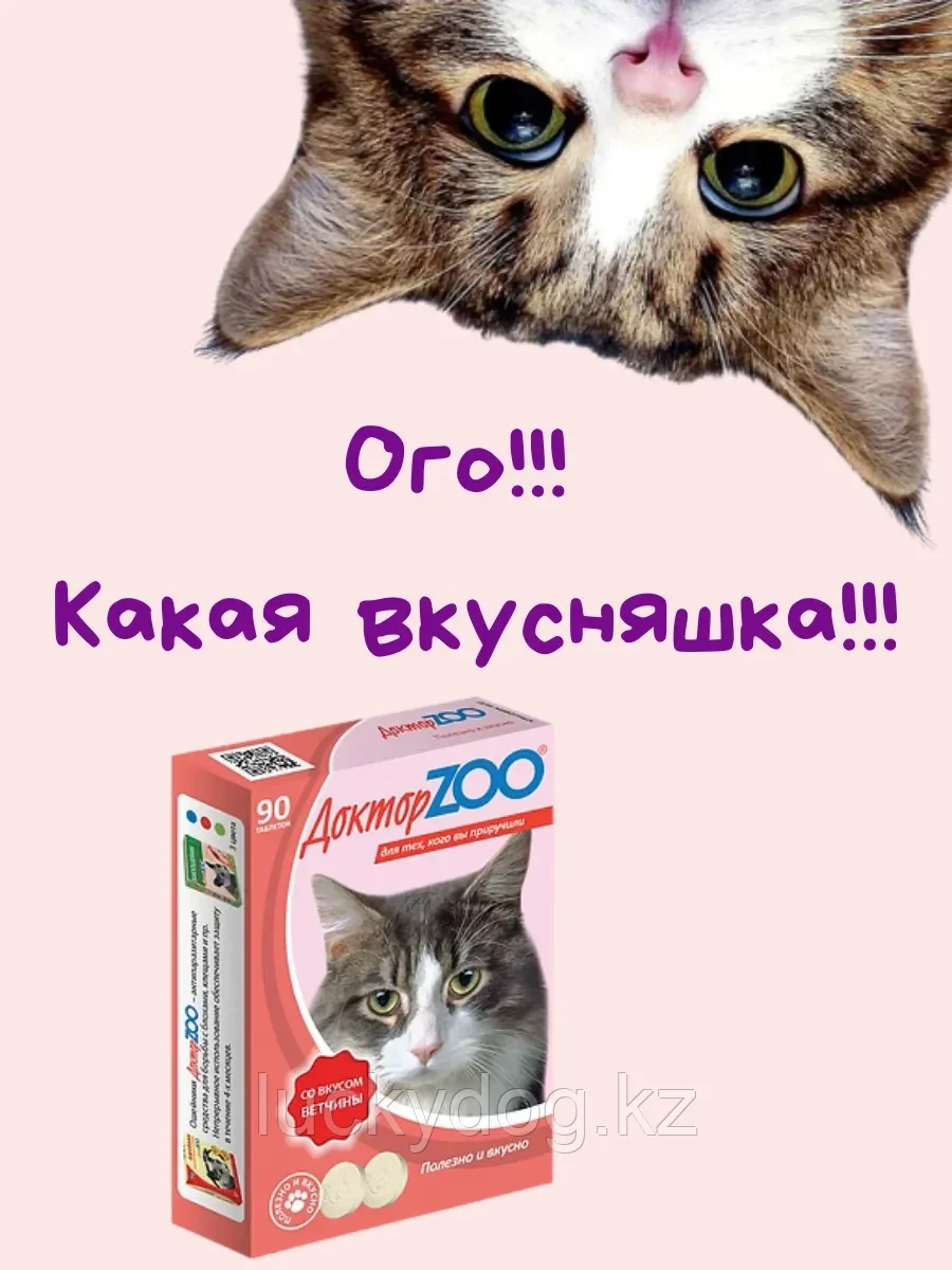 ДокторZOO Витаминное лакомство для кошек "Ветчина" 90 таб. - фото 5 - id-p99293929