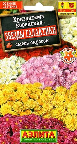 Семена Хризантемы корейской "Звезды галактики, смесь окрасок" Аэлита, фото 2