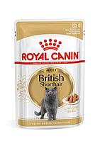 Royal Canin British Shorthair влажный корм для британцев в соусе 85гр