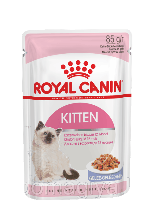 Royal Canin Kitten Jelly влажный корм для котят в желе 85гр - фото 1 - id-p99299403
