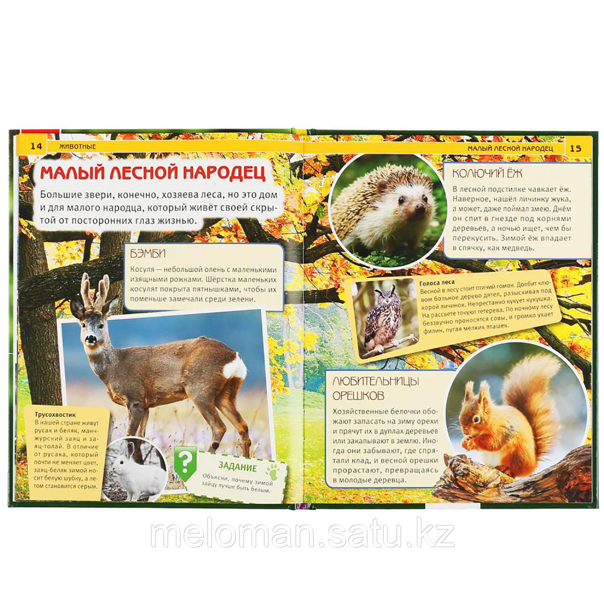 Книга животные. Энциклопедия с развивающими заданиями животные. Фгос энциклопедия умка. Энциклопедия с развивающими заданиями животные. Животные россии книга умка энциклопедия.