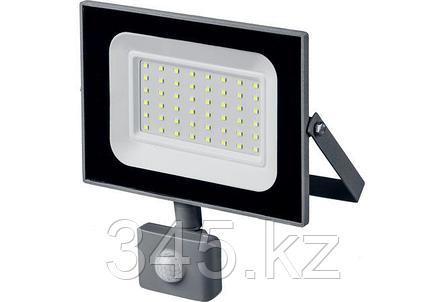 Светодиодный прожектор STAYER 50 Вт с датчиком движения, LED-MAX, фото 2