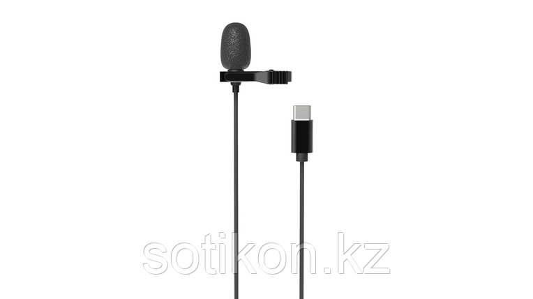 Микрофон петличный Ritmix RCM-210 черный, фото 2