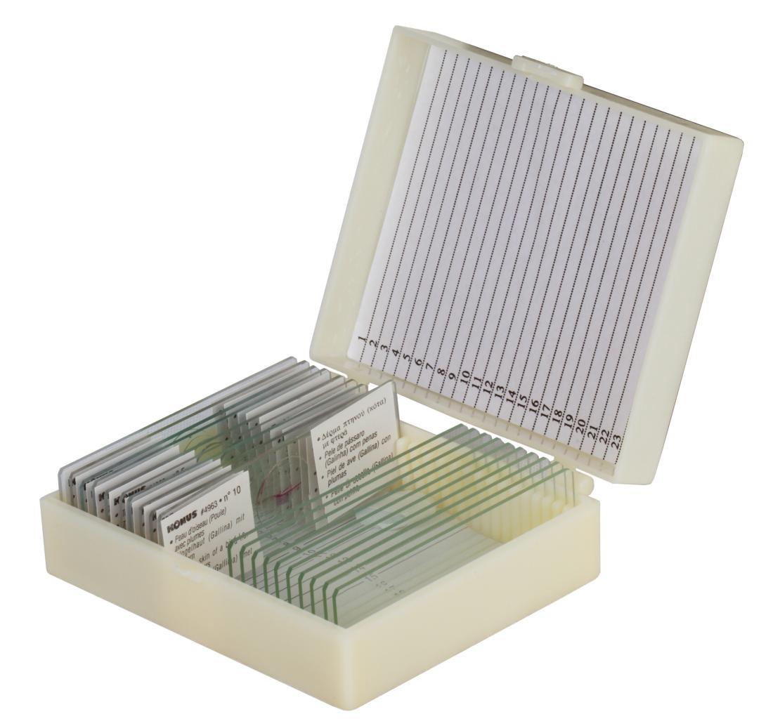 Набор микропрепаратов Konus 10: «Биология» (часть 1) купить на сайте ...