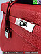 Сумка Hermes Kelly Эрмес Гермес, фото 8