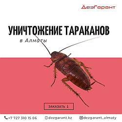 Уничтожение тараканов в Алматы