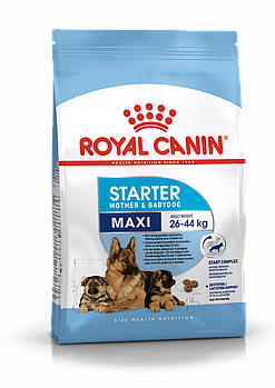 Royal Canin MAXI STARTER M&B для щенков до 2-х месяц. и беременных,кормящих сук крупных пород, 4кг