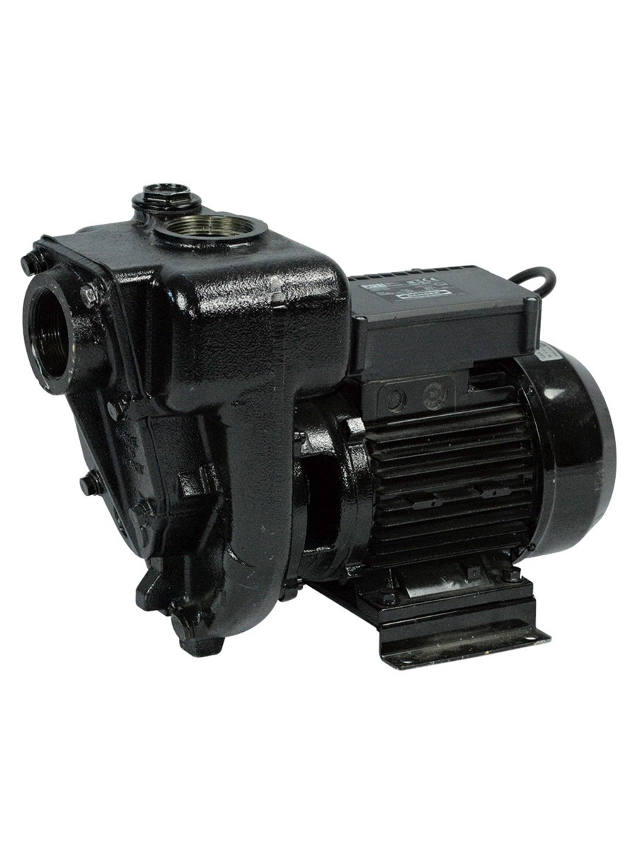E 300 230V - Высокопроизводительный роторный лопастной насос для ДТ, до 550 л/мин, PIUSI - фото 1 - id-p99333863